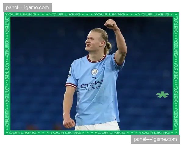 曼城球星哈兰德与流媒体平台签署个人纪录片独家协议